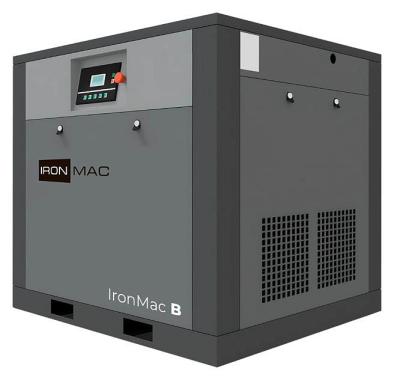 IRONMAC IC 30/10 C VSD (IP 23)